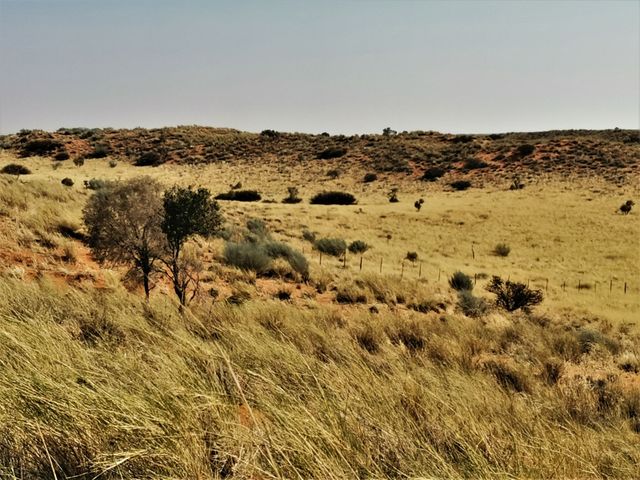 Kalahari farm for sale