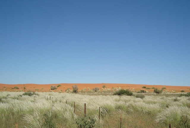 ARIAMSVLEI: Excellent Kalahari Farm