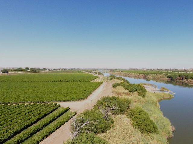 Irrigation farm for sale at Kakamas, Northern Cape.