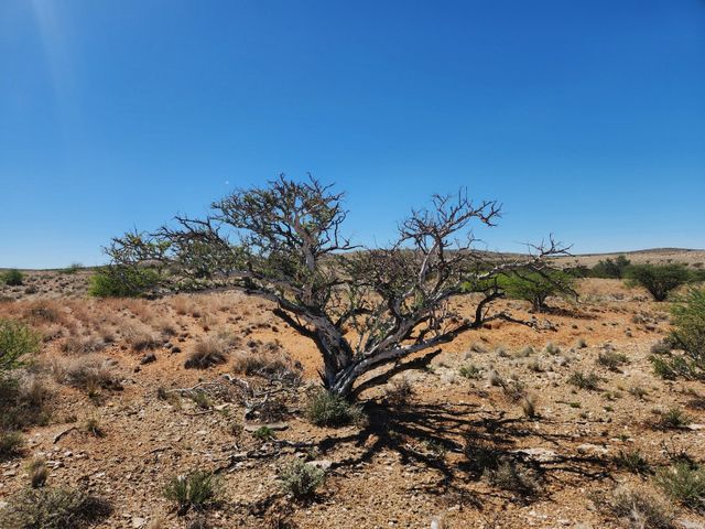 Potential lifestyle farm for sale between Groblershoop and Upington.
