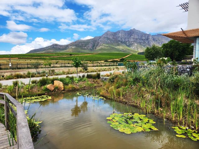 560m² Vacant Land For Sale in Paradyskloof