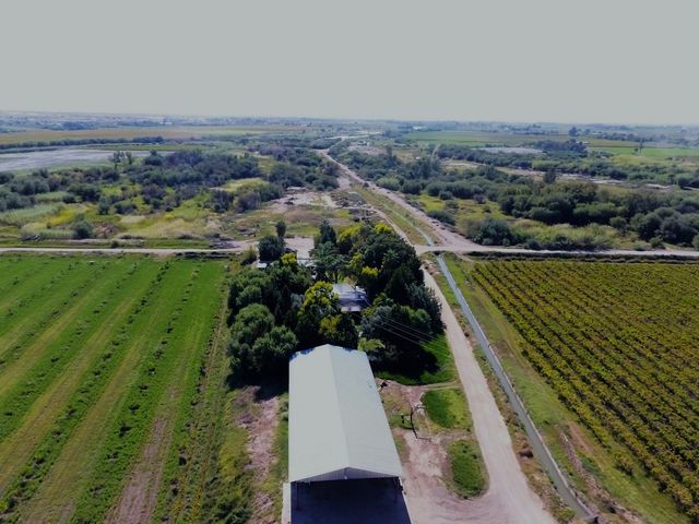 Well developed vineyard farm for sale on Kakoneiland, Keimoes.