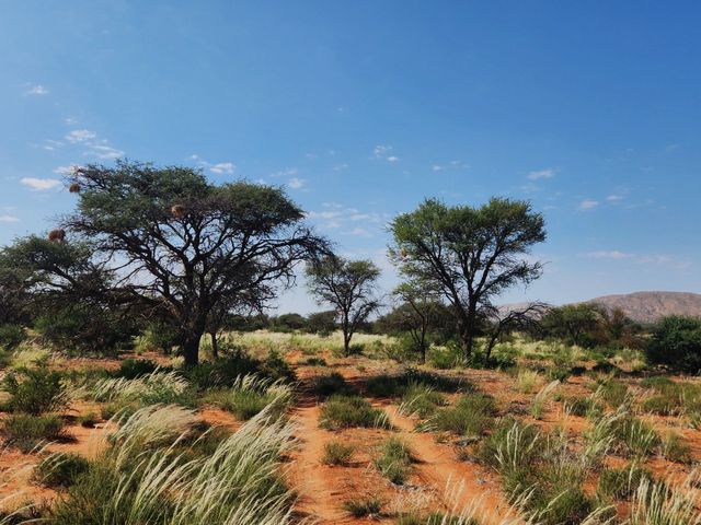 13,383Ha Farm For Sale in Marydale